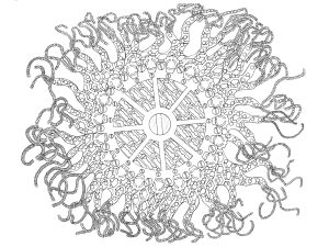 Deep Sea Cogs
